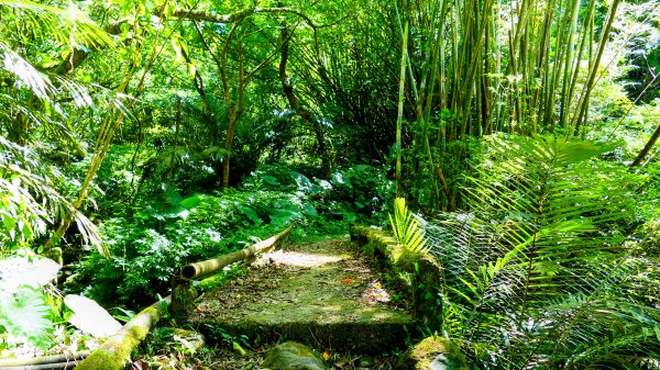 崩山坑越嶺內盤山2913770