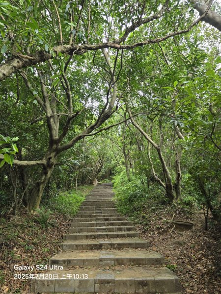 2025-07-20臺北大縱走第五段：捷運劍潭站至碧山巖(劍潭支線)2842565