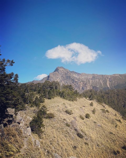 玉山（主峰、西峰、東峰）1629554