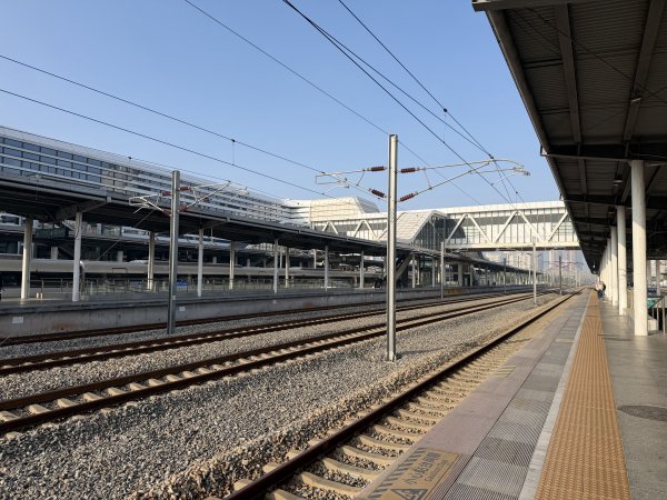 [茂名馬之行-10] 2026_0119 深圳北站2996560