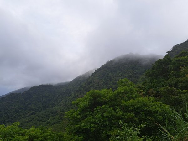 小百岳集起來月眉山步道3113071