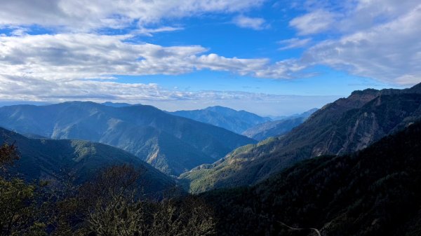 20250122 三角貓🐱遊玉山前峰玩瘋了🌀2698269