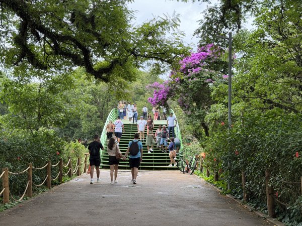 [紐約馬之行-69] 2025_1116 伊比拉布埃拉公園-下2955180