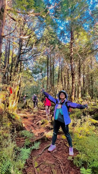 走入魔幻森林 探訪三星池與妹池2950196