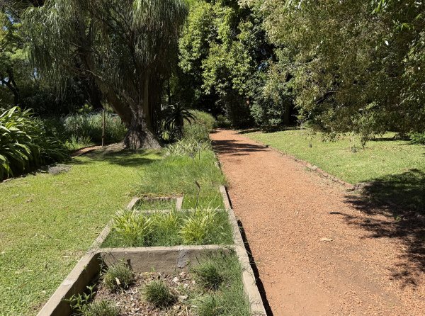 [紐約馬之行-60] 2025_1114 卡洛斯·泰斯植物園-下2954202