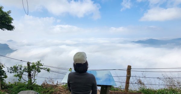 漫步尋找雲海去(S級觀光雲海步道→二延平步道)2427298