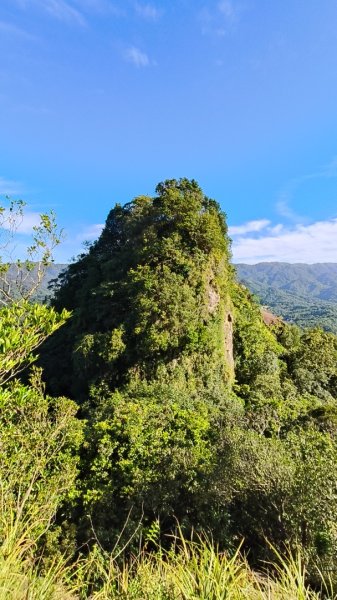 叮叮叮：一個人的微笑山線😊2917422