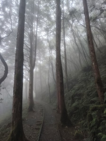 1150728太平山見晴懷古步道3096869