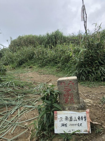 【宜蘭礁溪】抹茶山~超消暑聖母登山步道640594
