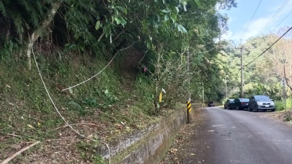 坪林區仁里坂山-火炎山未竟跟聯合艦隊除草去3125108