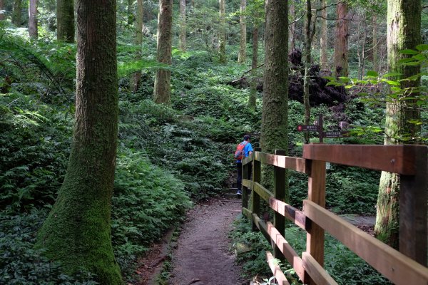 桃園復興區  東卡O縱2823802