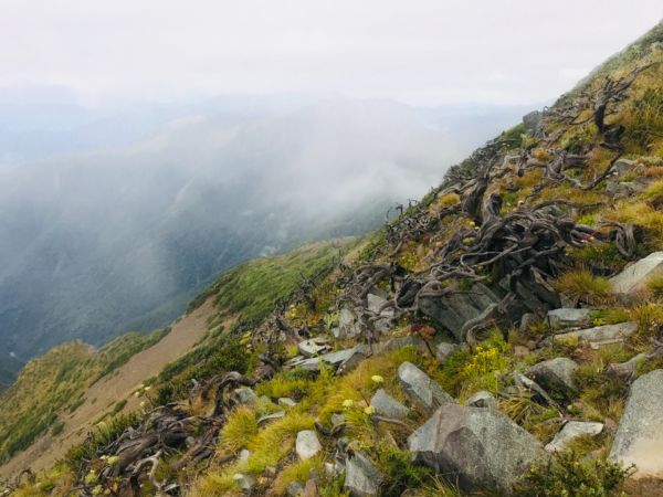 雪山8/31-9/1411598