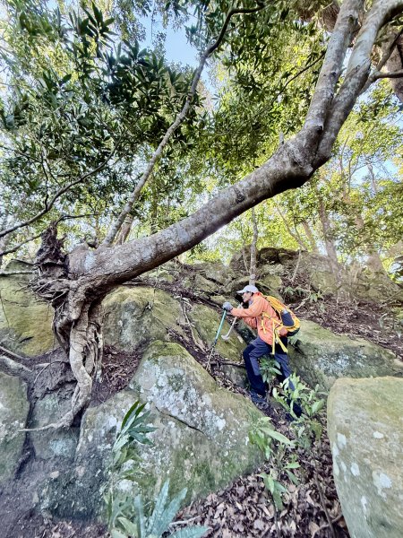苗栗冷門山--蕃婆石山5基石連登   2026.01.112981372