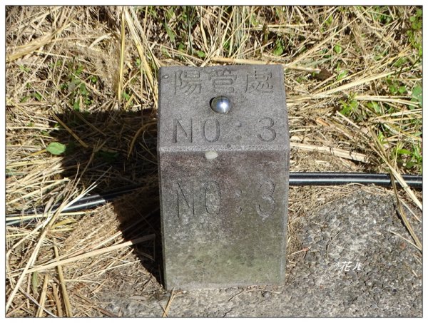 七星山連峰/芒花738709