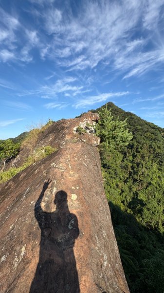 岩壁上的花、艷紅鹿子百合（12868992