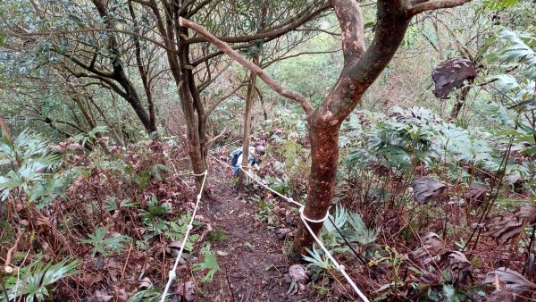 平溪大湖格隧道，石底觀音山、刀石崙、一坑古道O型1970860