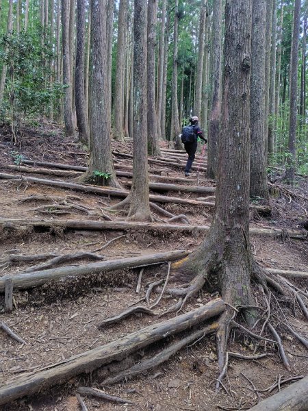 長壽山、肥崠山、醜崠山、大崠山、大崠山經建版2931530