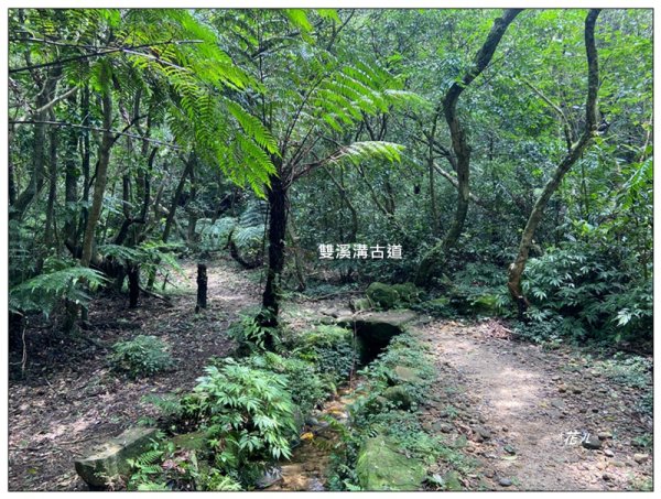 臺北大縱走第四段 風櫃嘴至捷運大湖公園站3079937