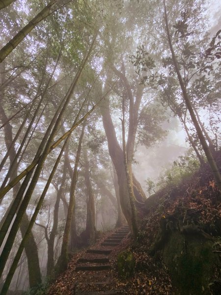 小百岳集起來-奮起湖大凍山2185190