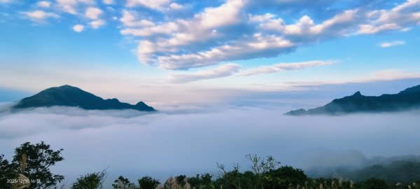 #樹梅坪 #金瓜石 12/102958903