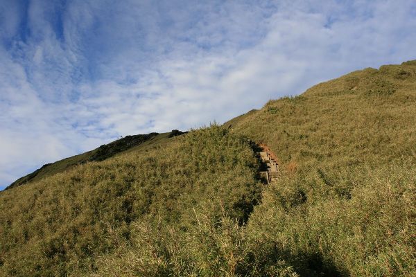 合歡東峰賞花行222754