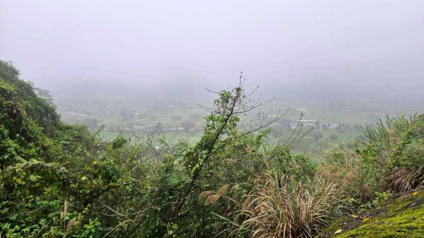 20260328赤玉o型3029886