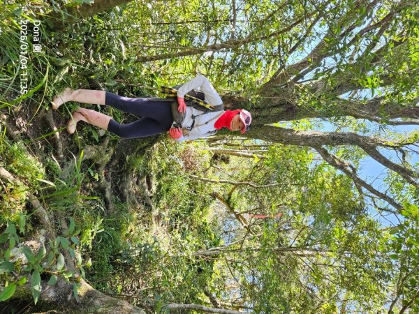 20260104源茂山.源茂山西峰.和尚髻山O走+親水觀魚步道2977726