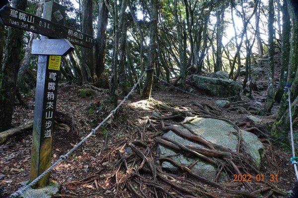 臺中 和平 稍來山1597370