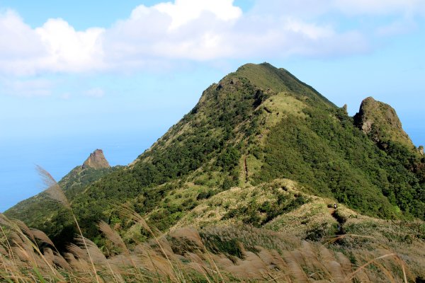 【金瓜石】漫山芒花怒放浪漫，礦山藍海奇景夢幻！2964013