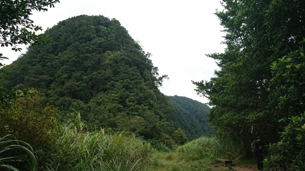 20180901新店獅仔頭隘勇線登山步道416107