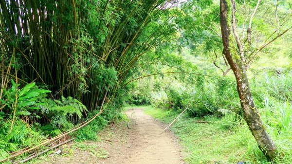 三貂嶺瀑布群,野人谷瀑布群2832483