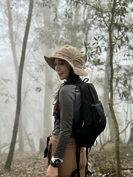 鳶嘴山-稍來山O型縱走(中級山 / 小百岳) 刺激攀岩。山嵐繚繞。傳神小象。杉樹林群。2583541