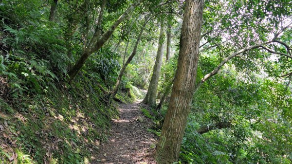 福山部落,內洞森遊區2552440