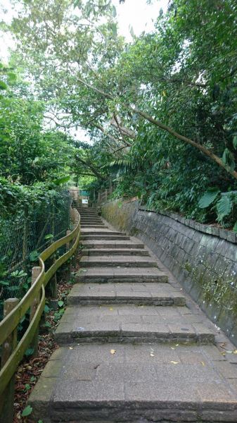 虎山溪+虎山山腰+虎山自然步道348472