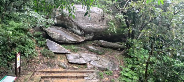 桃源谷，草嶺古道縱走1902843