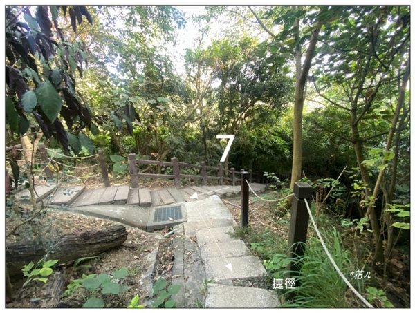 軍功寮山、大坑9、7、6、9-1步道 O型一圈2950816