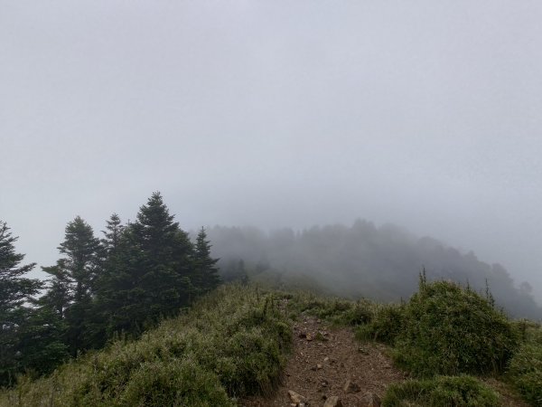 志佳陽大山登山步道2520068