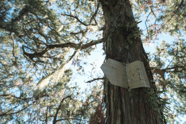 【玉山】主峰北峰二日，臺灣第一高峰雪季最美角度1881185