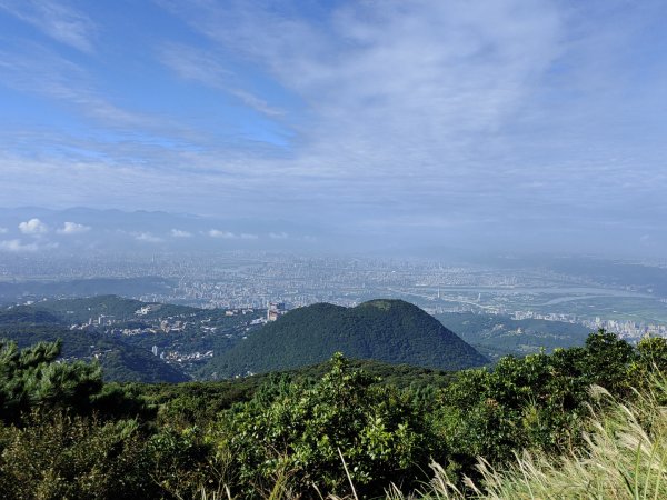 2023.09.09 七星山主、東峰步道2481037