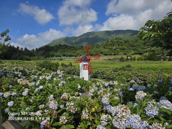 2025-06-21臺北大縱走第二段：二子坪至小油坑2821027
