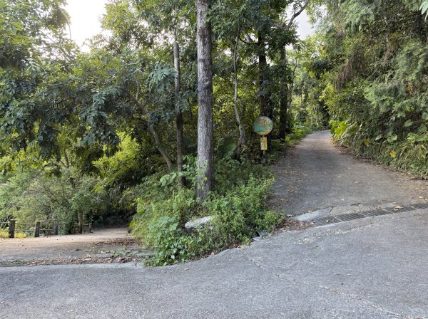 2025_1018 花蓮縣鳳林鎮鳳凰瀑布2921361