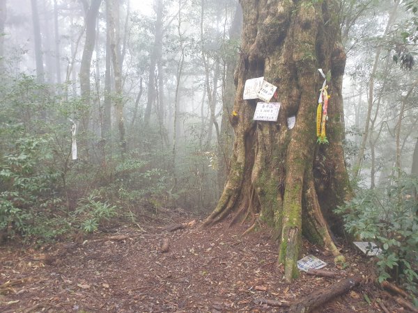 李崠山馬望僧侶山O型+烏來山1583430