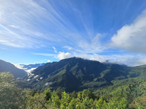 屏風山2天1夜順遊合歡北賞紅毛杜鵑花海2516423