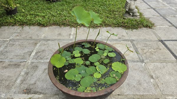 彌勒內院3038360