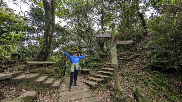 115.05.01天上山-桐花公園之旅3052121