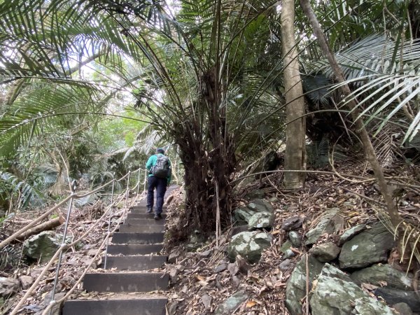 《雪山坑登山步道｜巨人之手森林秘境 Xueshankeng Hiking Trail & Giant2971070