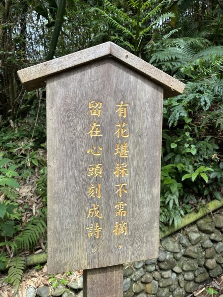 台北大縱走第七段1666229