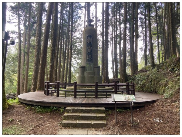 阿里山神木群棧道2771580