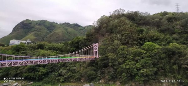 塔曼山越嶺達觀山連走拉拉山巨木群 - 神木巨木之旅1363257