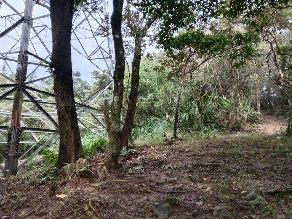 雙溪區艋舺崙古道+新路尾山+大竹林山出雙溪車站2998649